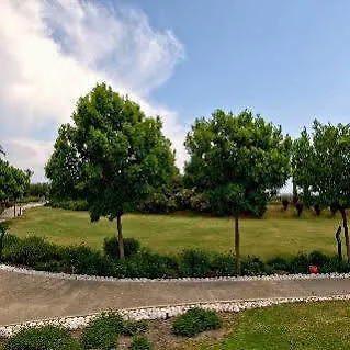 Tt Palace Sarıgerme